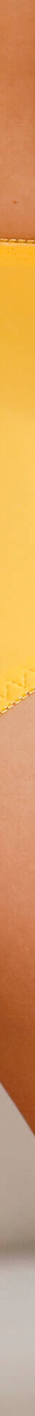 Gainette microfibre et guipure Rima - lot de 2 (jaune) Gainette microfibre et guipure Rima - lot de 2 (jaune)